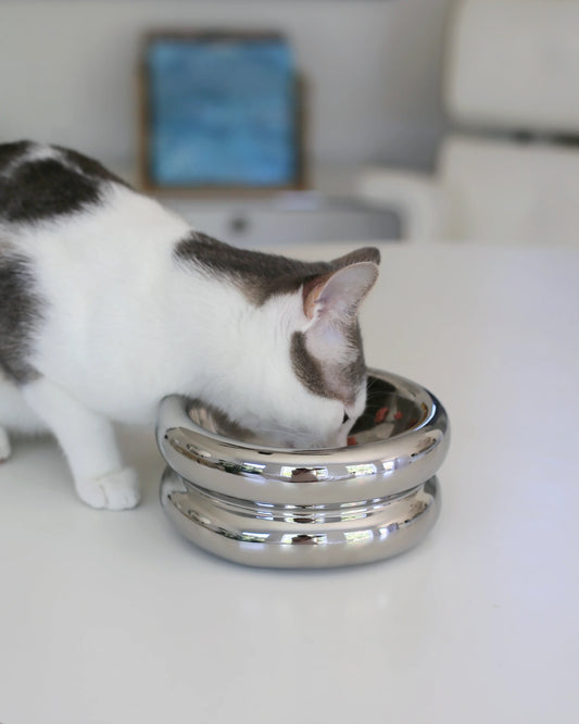 Halo Elevated Cat Food Bowl in Chrome